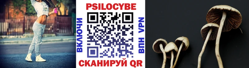 мега вход  Бабаево  Псилоцибиновые грибы прущие грибы 